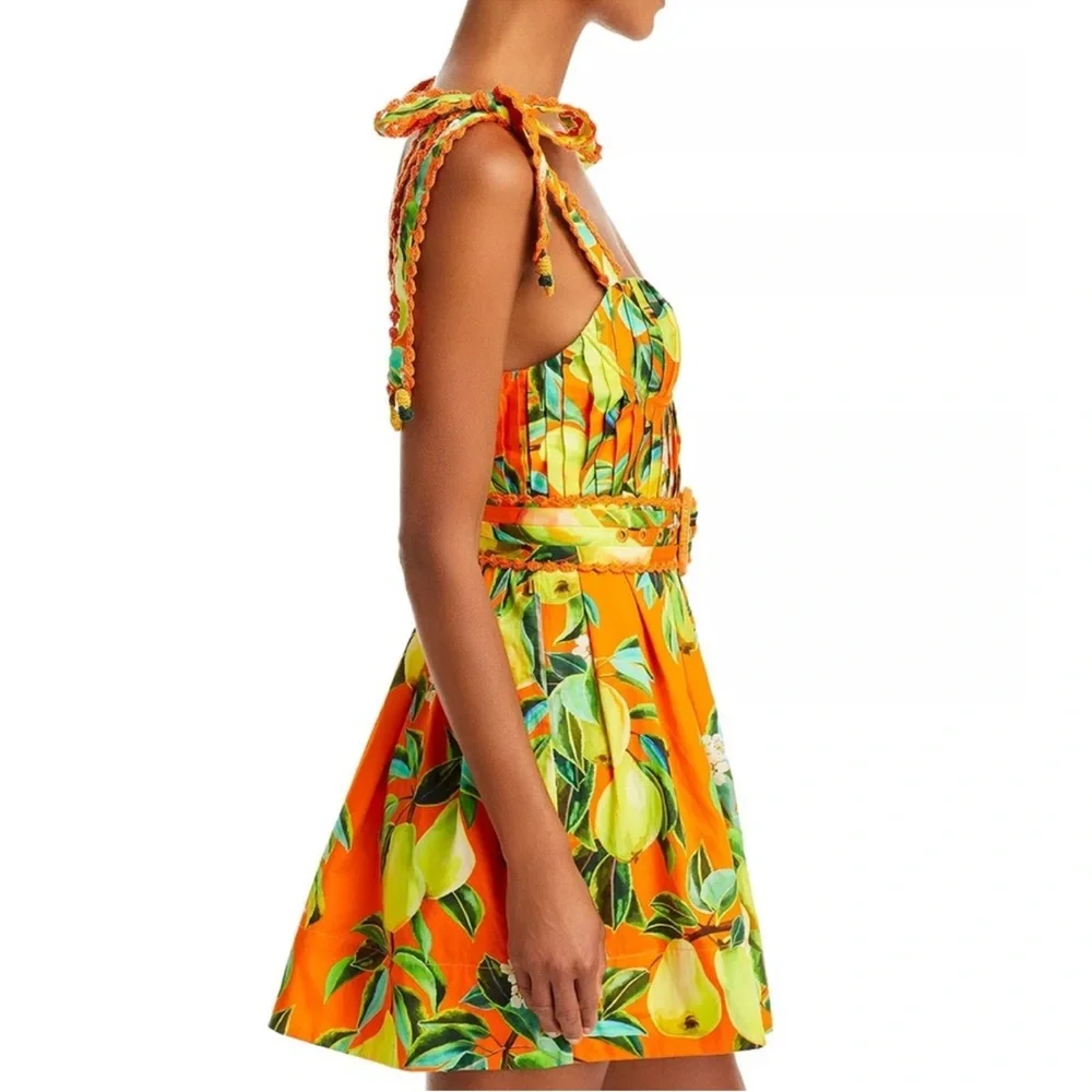 NWT FARM Rio Chic Pears Belted Mini Dress - Picture 4 of 13